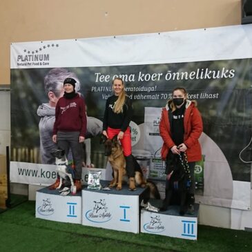 Edukas agility võistlus Pärnus