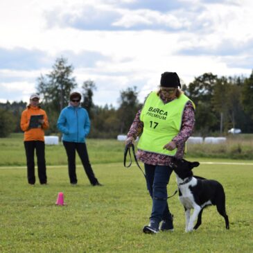 RALLIKUULEKUSE VÕISTLUS 28.05.2023 (Lisatud ajakava ja järjekord)