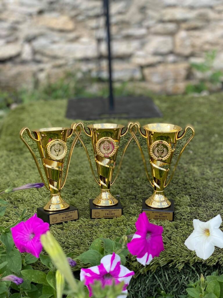 RALLIKUULEKUSE VÕISTLUS 10.06.2026 RKK