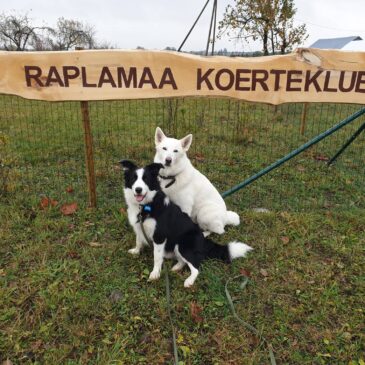 RALLIKUULEKUSE AMETLIK VÕISTLUS 05.09.2026 RKK