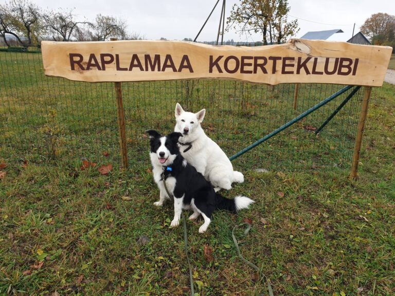 RALLIKUULEKUSE AMETLIK VÕISTLUS 05.09.2026 RKK